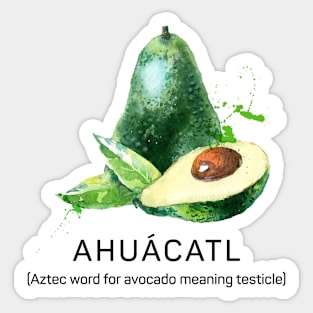 Avocado Ahyacatl in Watercolour Sticker